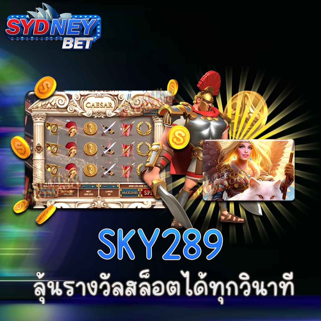 SKY289